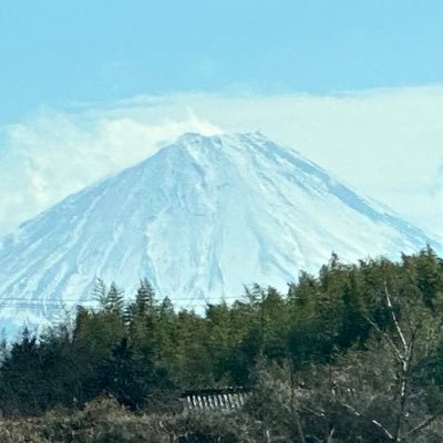 neko_zapzap's profile picture. 