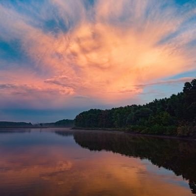 DotsenkoDenys's profile picture. 