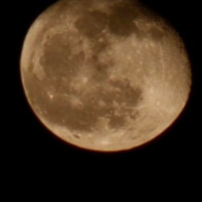 Yangyang2122212's profile picture. 