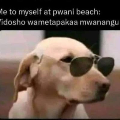 AshionoBri5022's profile picture. 