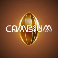 Cambium Seeds (@cambiumseeds) 's Twitter Profile Photo