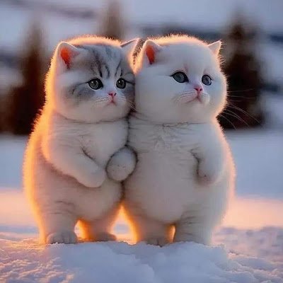 thanhtam090392's profile picture. 