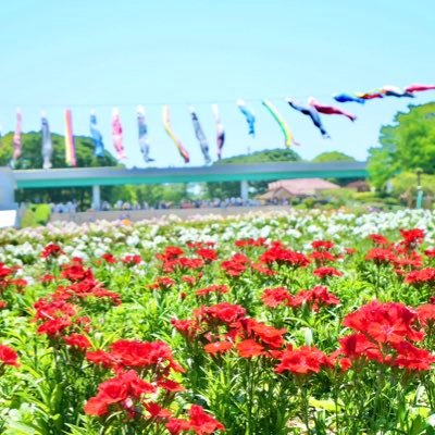 panchi927650765's profile picture. KLCで不妊治療を経て、2021.7に1人目、2025.7２人目出産👶来年5月には仕事復帰予定。育休中。育児を呟くアカウント。無言フォロー失礼します。マタ垢さん、ママ垢さん、仲良くしてくださると嬉しいです😊妊活垢@baby_shinman