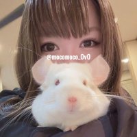 きなこ@針村🦔(@mocomoco_OvO) 's Twitter Profile Photo