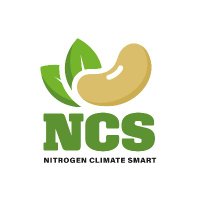 The NCS Project (@pulse_pep) 's Twitter Profile Photo The NCS Project (@pulse_pep) 's Twitter Profile Photo