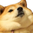 logical (@logicaldota2) 's Twitter Profile