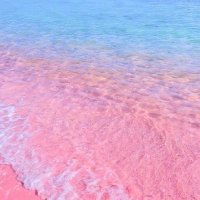 Annamaria Musacchio (@annamariam25790) 's Twitter Profile