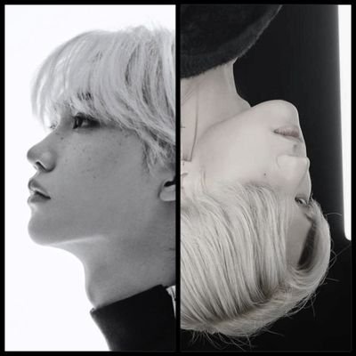 yui09151025's profile picture. k-pop垢。skzメインで垢作ったけど今は色々話す。ATZの話多い。skz🐥ATZ🦊ウヨンボクをこよなく愛しながら自然死するために健康にヲタして生きる。夜間飛行聴かせると泣く30↑