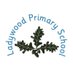 Ladywood Primary School (@LadywoodKH) Twitter profile photo