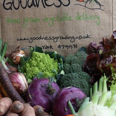 Image result for goodness veg york