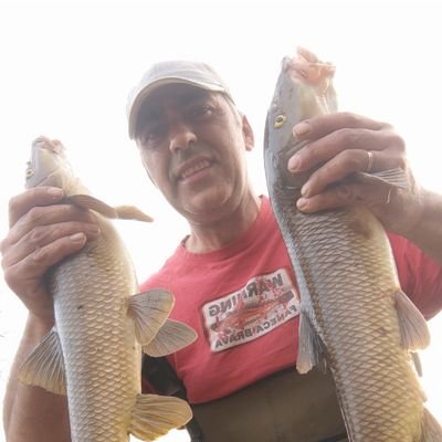Siempre Arquitecto Técnico, zamorano, pescador y setero aficionado.