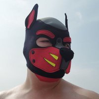 豪犬☆變態日常記錄 (@haodogrubber) 's Twitter Profile Photo 豪犬☆變態日常記錄 (@haodogrubber) 's Twitter Profile Photo