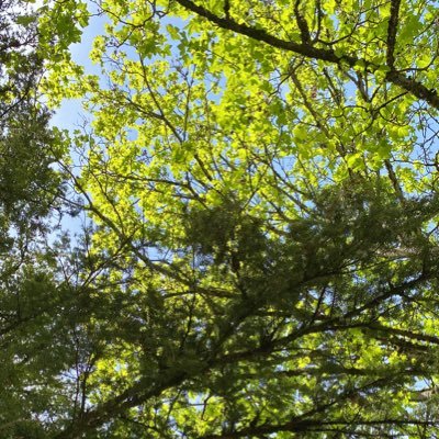 🌍🐝🌱CSR & Engagement Manager @Arval BNP Paribas #CSR #ESH #RSE #Engagement #Sustainability #Climate #ClimateFresk