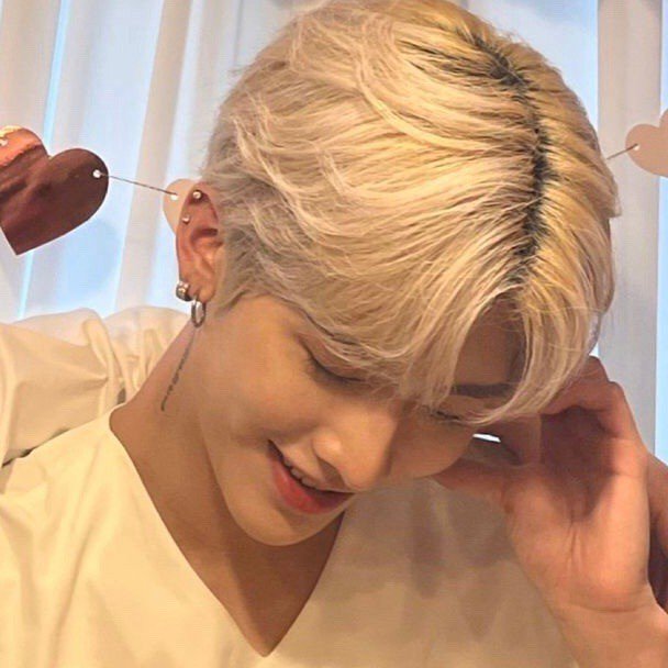 ⠀⠀⠀⠀⠀⠀cats, books and hoshi ͏ ͏ ͏ ͏ ͏ ͏ ͏ ͏ ͏ ͏ ͏ ͏ ͏