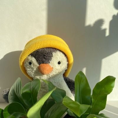 pfpuffy33's profile picture. เราจะวนมาเจอกัน เมื่อเราคิดถึงทวิตมากพอ