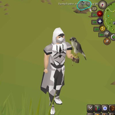 wornom254591's profile picture. Osrs online Work