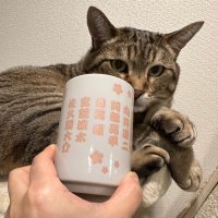 猫（あやこ）(@akosuke420) 's Twitter Profile Photo