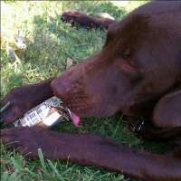 GSoliz's profile picture. Gnarly