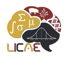 Laboratório de Inteligência Computacional e Aprendizagem Estatística (LICAE)