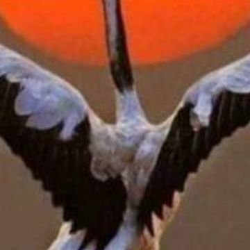 rydmyry85591293's profile picture. رياض الخبراء