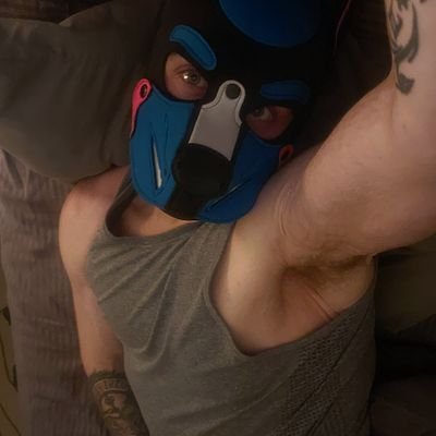 Certified whore doggo 🐶. Bite me hard and give me your underwear and I'm yours forever 😘