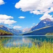 omarfaruk199172's profile picture. 