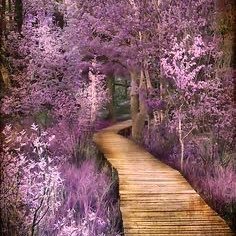 deeamarcan96's profile picture. 