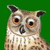 Effin' Birds (@effinbirds) Twitter profile photo Effin' Birds (@effinbirds) Twitter profile photo