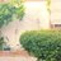 QuintusCS (@csquintus) 's Twitter Profile