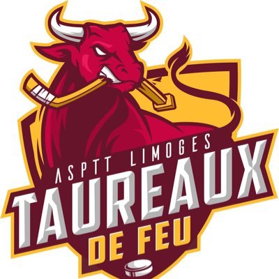 Equipe de hockey sur glace évoluant en D3. Suivez les matchs et actus en direct sur Twitter...Taureaux de Feu !