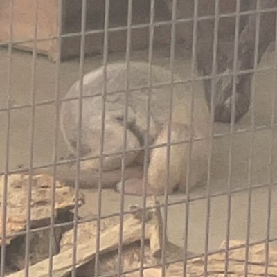 sochan9808's profile picture. 加古川東高校69回生　大阪大学工学部環境・エネルギー工学