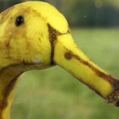 VG_Zaitsev's profile picture. Sans misogynie, pour une vraie égalité.