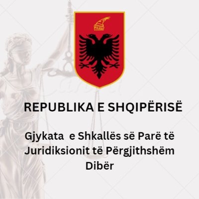 Gjykata_Diber's profile picture. 