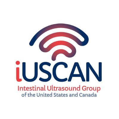 Working together in clinical care and research to advance the use of intestinal ultrasound in the care of patients with IBD in North America