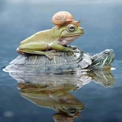 giorgoszotos1's profile picture. Δεν εχω