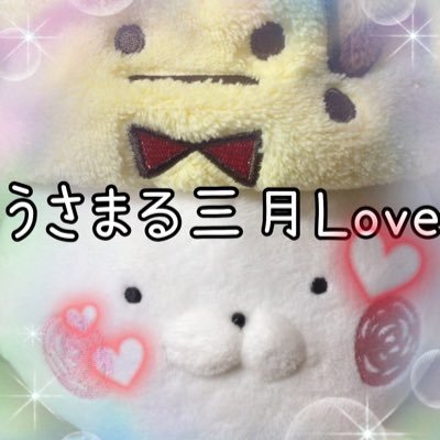 成人済みの地味な女です。 日常垢でもあります。うさまる愛でいっぱいです。アイナナ→三月推し ただのなまけもの、おでかけ子ザメにも癒されてます。㊗️うさまる10周年。