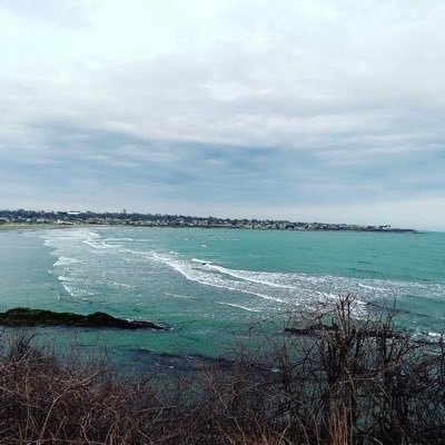 #nature #ocean #photography #420friendly🍃 #dogowner #pets just simply trying to make it in the photography world 🌎