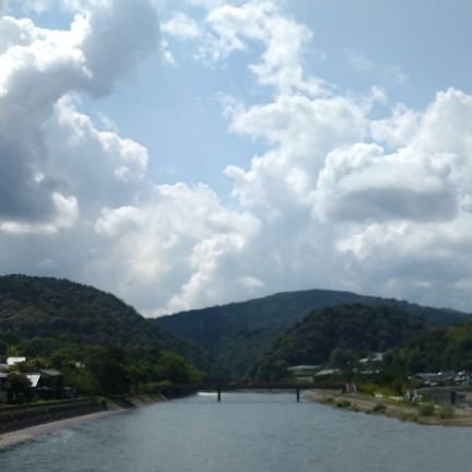 shinsan0619120's profile picture. ∥14期∥文房具∥ベース∥棋道部∥