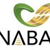NABA Twin Cities (@nabamn) Twitter profile photo NABA Twin Cities (@nabamn) Twitter profile photo