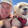 ValZimmer2's profile picture. Author of Vaccines, Viruses and Bacteria: Not What You’ve Been Told. Free download from Substack 
45+ years with no vaccines. 
#novirus    🇺🇸