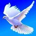 أحمد على خفاجى (@mdlykfjykf3030) Twitter profile photo أحمد على خفاجى (@mdlykfjykf3030) Twitter profile photo