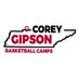 Corey Gipson Elite Camps (@GipsonBBallCamp) Twitter profile photo