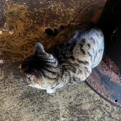 groogroocoding's profile picture. 그냥 내 생각 적는 곳
