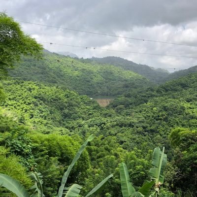 racsew's profile picture. #FortisForever #HUEman #MelaninMind #African #XaymacanByBirth #NyaamWeyYuGrow #GratitudeAlways #bwoy2gyal