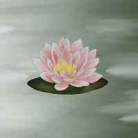 Kattalin eta Nenufarrak (@kaenetaldea) 's Twitter Profile
