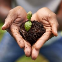 NC State Extension(@NCExtension) 's Twitter Profile Photo