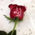 ثــريا الراشدية (@msthuraiya) Twitter profile photo ثــريا الراشدية (@msthuraiya) Twitter profile photo