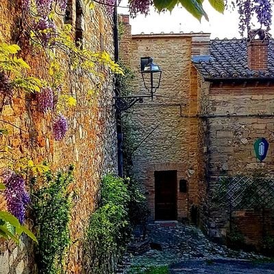 *La Torre di Amelia* nel cuore dell'Umbria A un'ora di viaggio da #Assisi e #Roma 🚉 #rentalhome
#casavacanze 🏡 #Umbria 💚     🗓prenotazioni📲 #airbnb 👇🏽