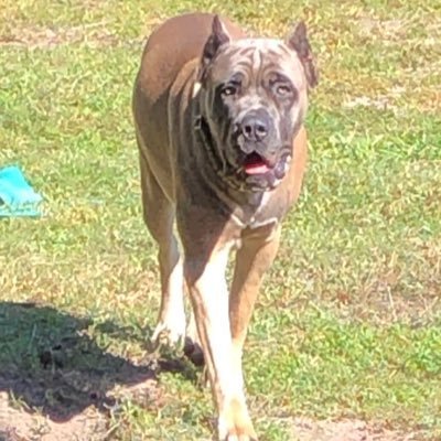 TripleM22885872's profile picture. 