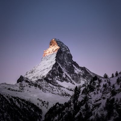 poneyklubb's profile picture. 